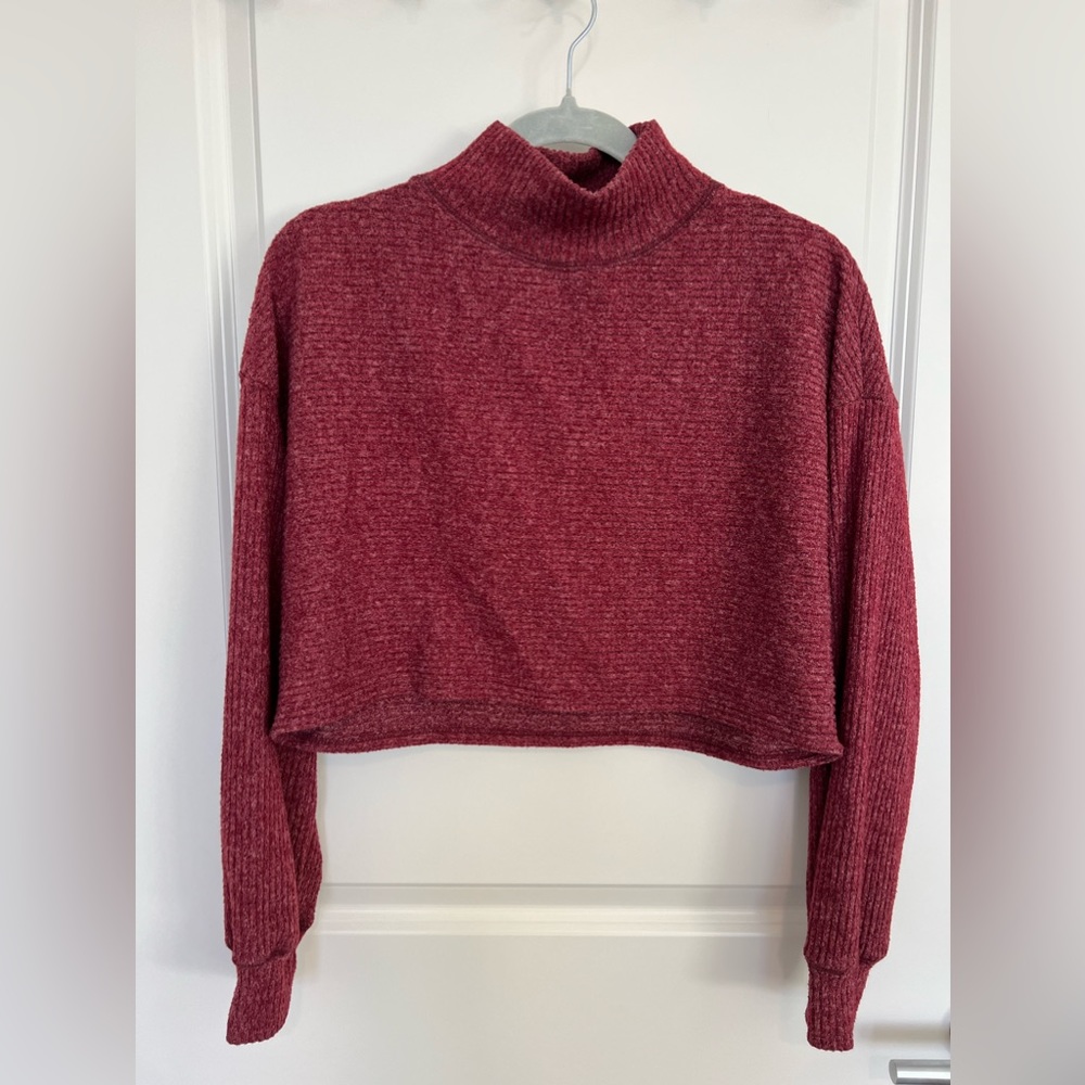 Painted Threads Red Cropped Ribbed Mock-neck Sweater